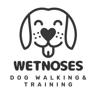 Certified Dog Trainer | Fear-Free/Force Free